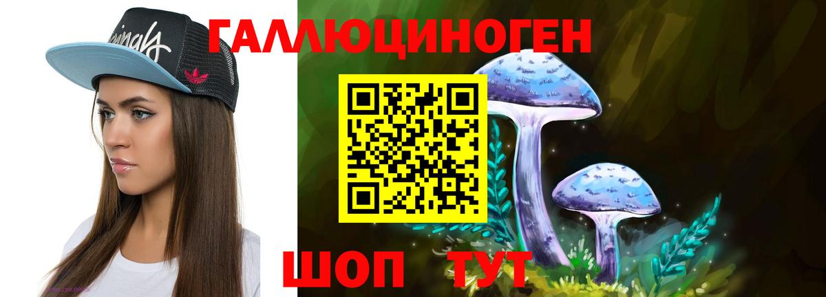 Биробиджан  Псилоцибиновые грибы Cubensis  Вход с VPN 